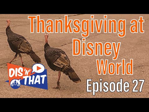 Dis N That Episode 27 | Thanksgiving at Walt Disney World