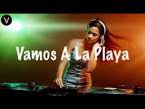 Willem De Roo - Vamos A La Playa (Lyrics / Lyric Video) feat. Taleen (TOSAK Festival Mashup)