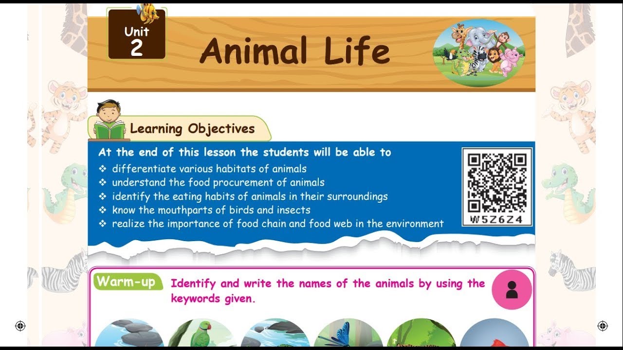 3 rd SCIENCE - TERM 3 - UNIT 2 - ANIMAL LIFE - PART 2