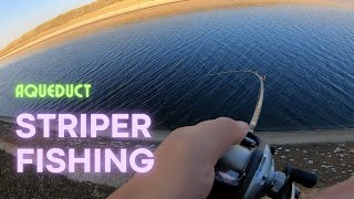 Evening Aqueduct Striper Fishing | Delta Mendota Canal