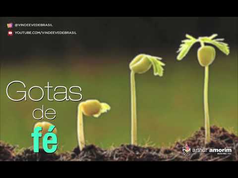 Vida video