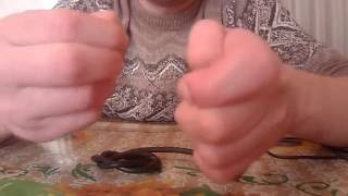 Какие нужны крючки при ловле голавля