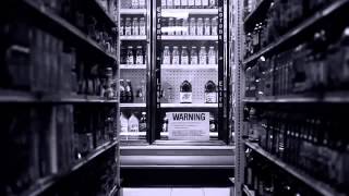 Audubon -The Substitute