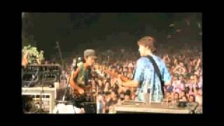 String Cheese Incident  The Wedge