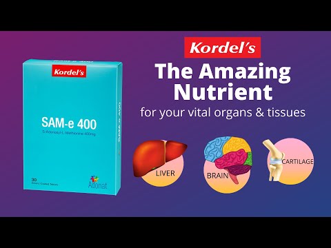 249mg lisybin s adenosyl methionine silyoin tablets