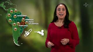 Miniatura do vídeo