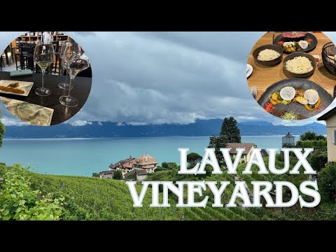 Hiking and Wine Tasting at the UNESCO World Heritage Lavaux Vineyard Terraces | Switzerland Day 5