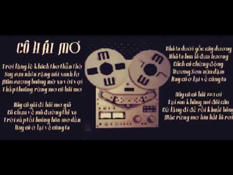 Cô hái mơ - Trần Cao