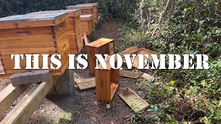 November Compilation | #colesfarmnc #jacksonvillenc #beekeeping