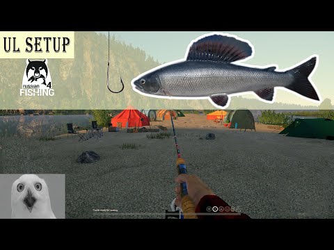 🐟 Grayling invasion-Bite on every cast [Russian fishing 4]