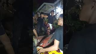 Download lagu Kuda lumping Kelambir lima Paguyuban Sekar Jaya Mandiri mp3 Download lagu Kuda lumping Kelambir lima Paguyuban Sekar Jaya Mandiri mp3