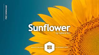 Sunflower - Sakura Girl | Royalty Free Music No Copyright Free Background Music For Videos | Chill