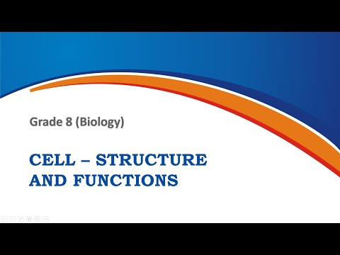 Cell Structure and Function Science Worksheet Class 8 | EduSri