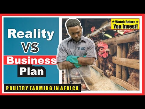 , title : 'Poultry Farming for Beginners | Shocking Hidden Truth About Business Plan VS Reality'