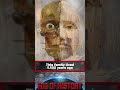This Family Lived 5 500 Years Ago In What Is Now The Netherlands FOG OF HISTORY