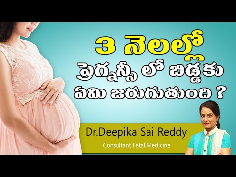 3 నెలల్లో ప్రెగ్నన్సీ లో బిడ్డకు ఏమి జరుగుతుంది? - dr. deepika saireddy, fetal medicine