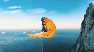 GIBILTERRA 🇬🇮 in un giorno - highlights - GIBRALTAR