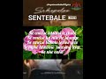 Sannere Sentebale Lyrics