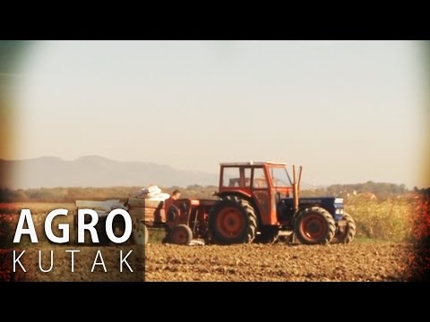 Agro Kutak 48 - Uzgoj pšenice