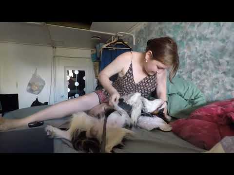 Zarina scratching Sulo