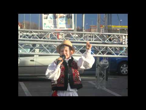 Ivanov Rares - Cat ii tara Crisului