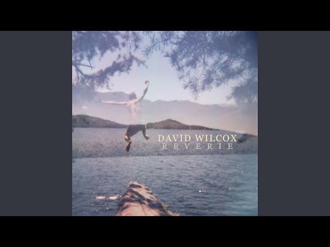 Videoclip de Shark Man — David Wilcox