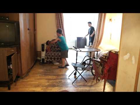 boxing dog (part 2) _stolen glove