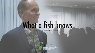 »What a fish knows« Vortrag von Jonathan Balcombe – Albert Schweitzer Stiftung für unsere Mitwelt