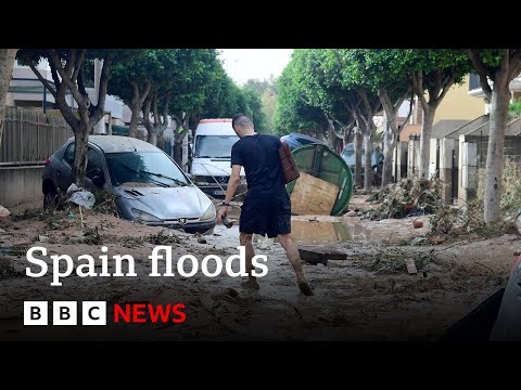 Video | Spain's King Felipe 'devastated' by deadly floods as PM warns of dangerous conditions | BBC News