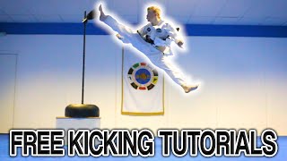 Taekwondo Kicking Tutorials Promo (Ginger Ninja Trickster)