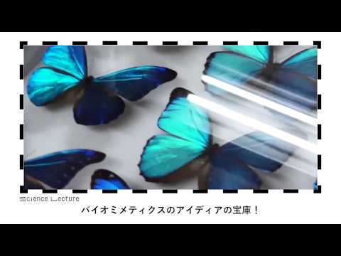 え？こんなモノがあんな生き物から！？