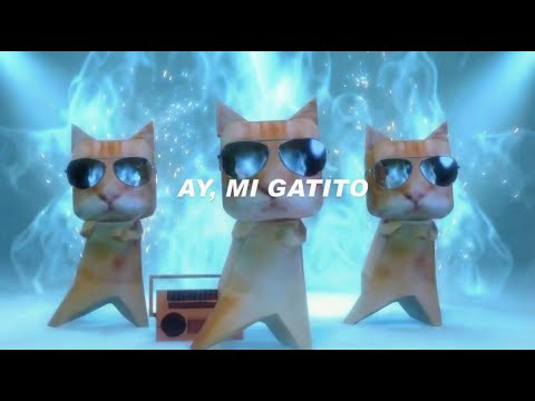 Ay mi Gatito Miau Miau | Official video Remix