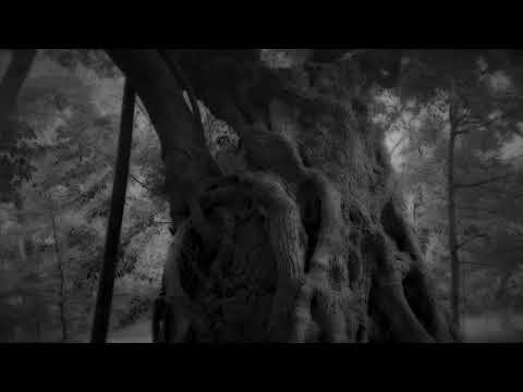 芸術学科 geigaku stories early summer ② /Tさんの3年生のある日/