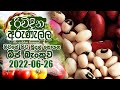 Rividina Arunella ගෙවතු වගාව 2022 06 26 Agriculture Programme