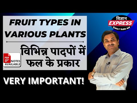 Fruit types in various Plants | Vigyan Express #70 | DR. N.S. JAIN