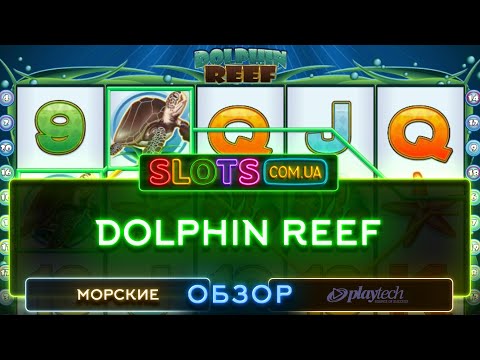Dolphin Reef