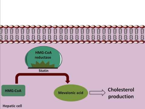 Atorvastatin aspirin clopidogrel capsules, 75 mg