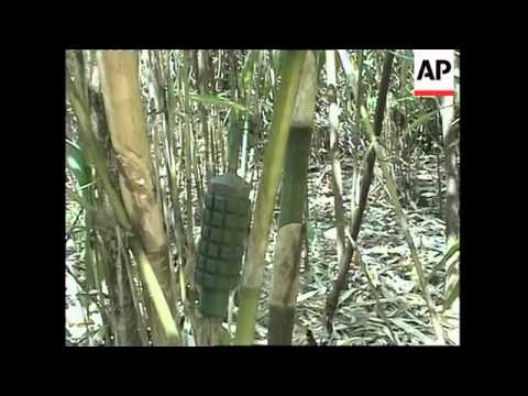 Burmese Refugees: Between a Rock and a Hard Place