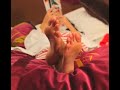 Katy Perry Feet Soles