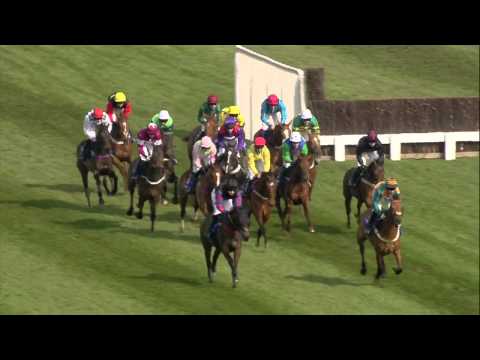 2014 Neptune Investment Management Novices Hurdle - Faugheen - Racing UK