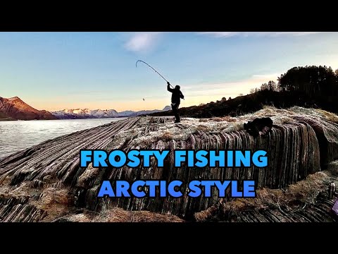 Winter fishing for halibut and cod in arctic Norway!