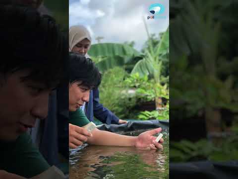 PBLMK232-20-Sistem Monitoring Kualitas Air Kolam Ikan Nila pada Proses Budidaya Ikan di PT Tunas Bioflok Indojaya