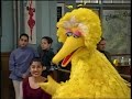 Sesame Street 3450 Street Scenes Big Bird Wants To Be A Dancer