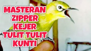 Download lagu MASTERAN PLECI TEMBAKAN KEJER, ZIPPER, TULIT TULIT SAMBUNG KUNTI .. mp3