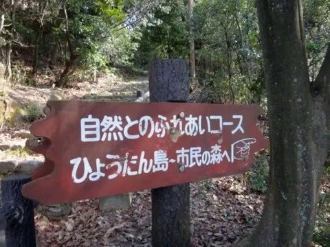 2016 03 27 Mt.SATSUKI TRAIL RUNNING