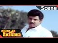 Bobbili Simham Movie Balakrishna Powerful Dialogues In 3 Languages Balakrishna Meena Roja