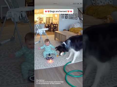 Dog Protects Baby—Heartwarming Moment!