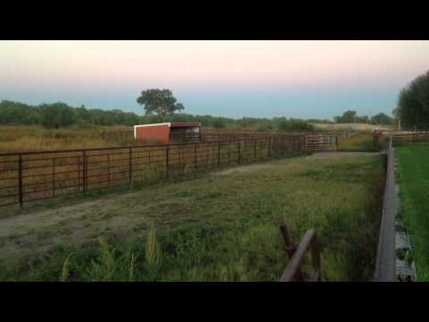 South Platte River flooding in Hershey, NE. Watching the flood come in behind our house