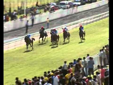 Day 21 Race 5  - SPORTS FACTOR - R. Joorawon