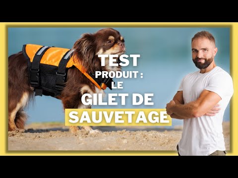 download lagu mp3 mp4 Gilet Sauvetage Chien, download lagu Gilet Sauvetage Chien gratis, unduh video klip Gilet Sauvetage Chien